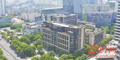 冠軍中國 青春接力 | 粵港澳大灣區與長三角 雙&ldquo;翼&rdquo;齊飛 積&ldquo;勢&rdquo;成力